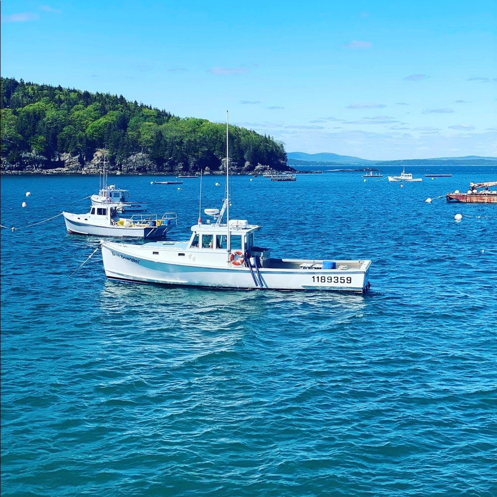 Meet your Posher, Michael